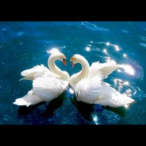 Meet your Posher, Elda